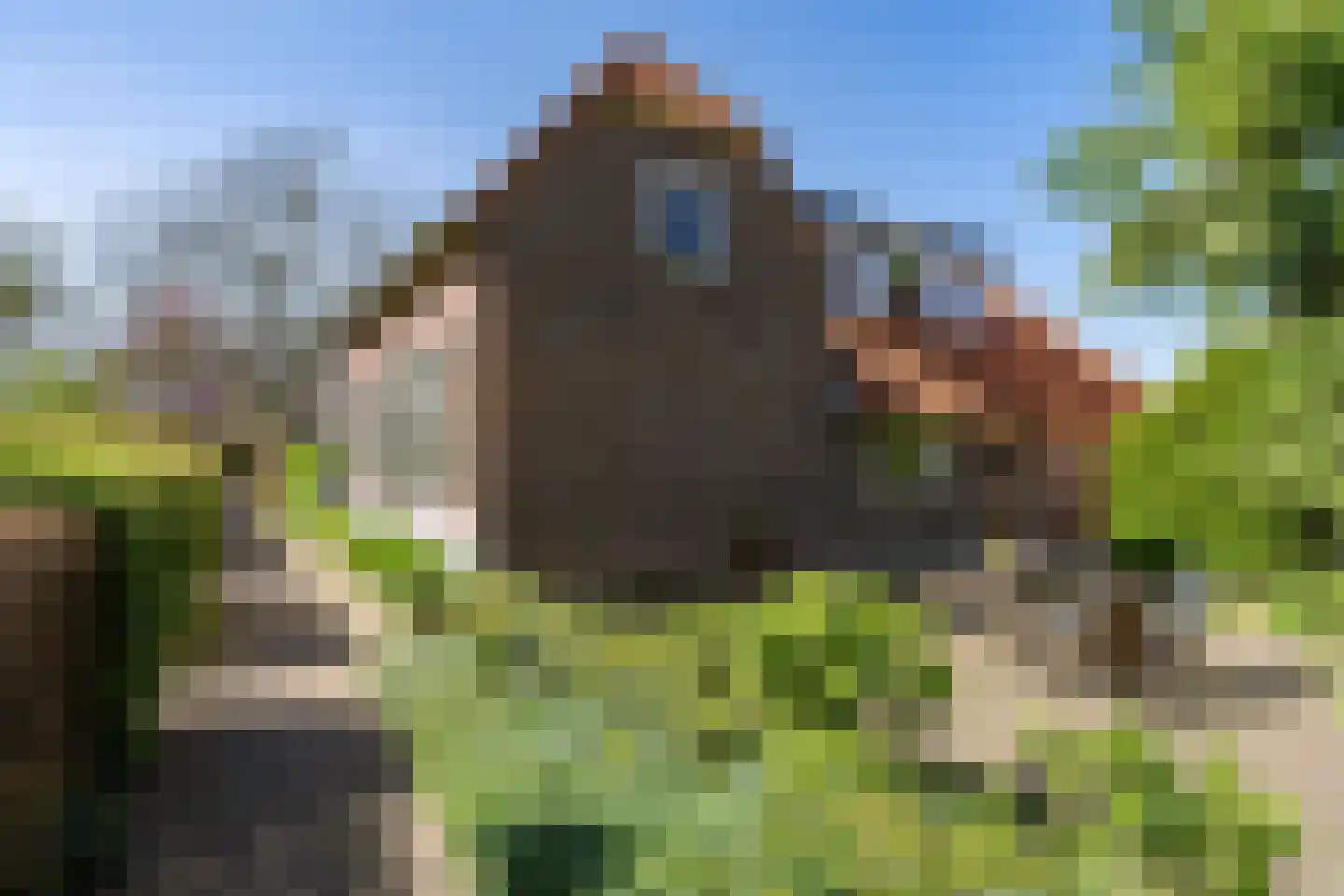 Engwijkpad 44 Lith thumbnail 6