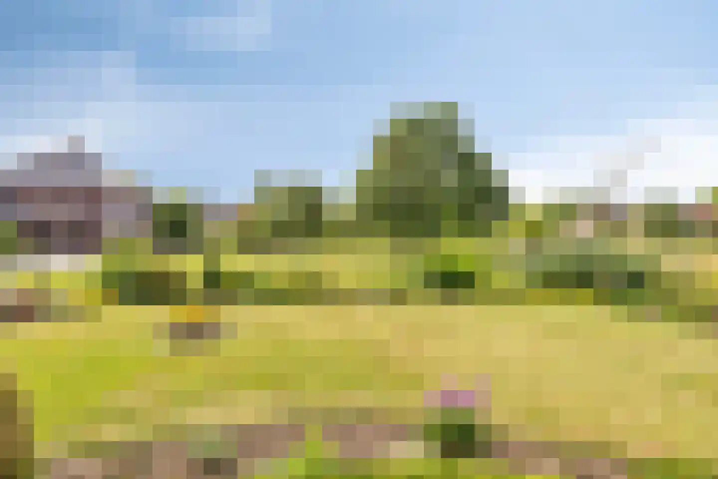 Engwijkpad 5 Lith thumbnail 29