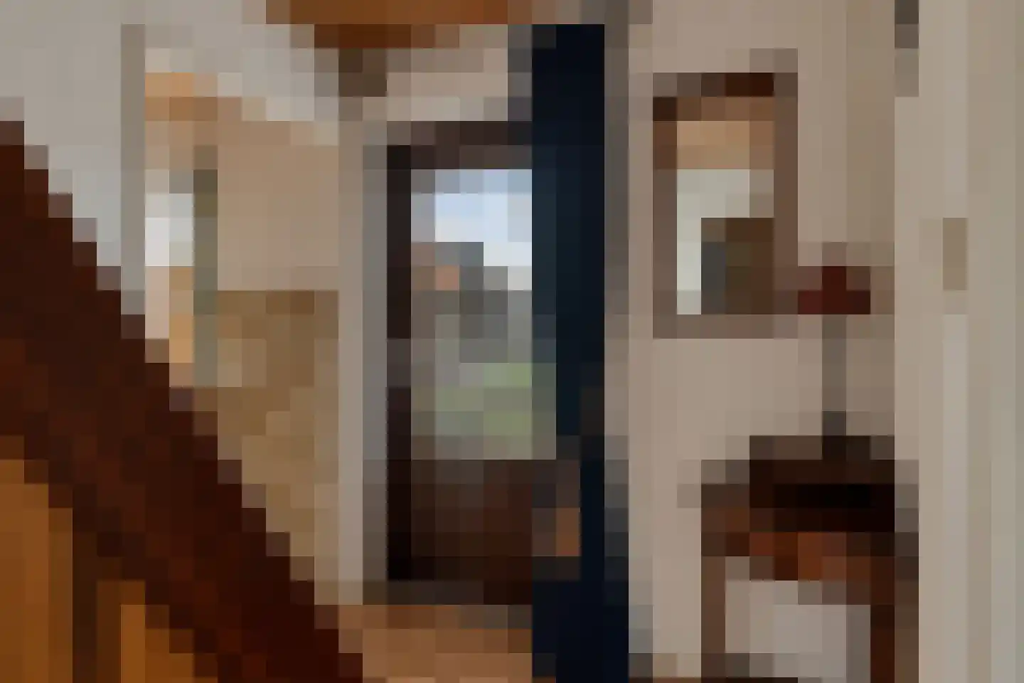 Engwijkpad 5 Lith thumbnail 6