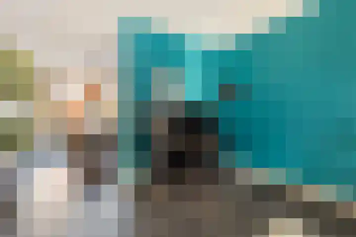 Enk 101 Borne thumbnail 12