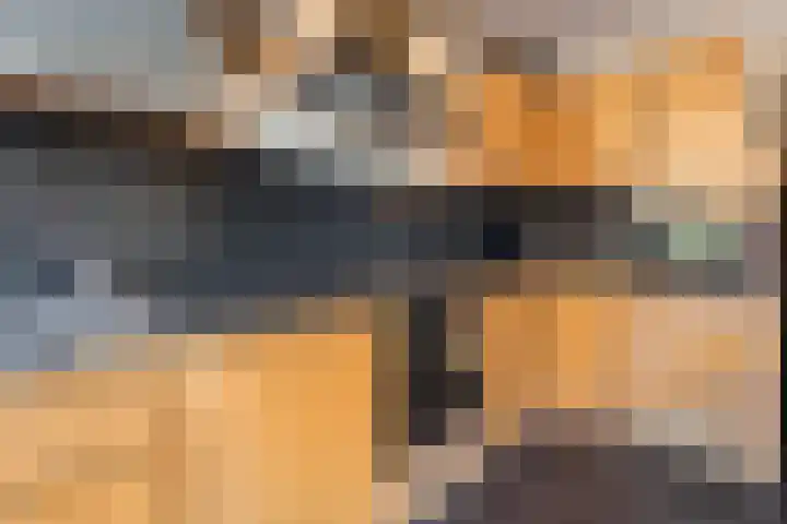 Enk 101 Borne thumbnail 15