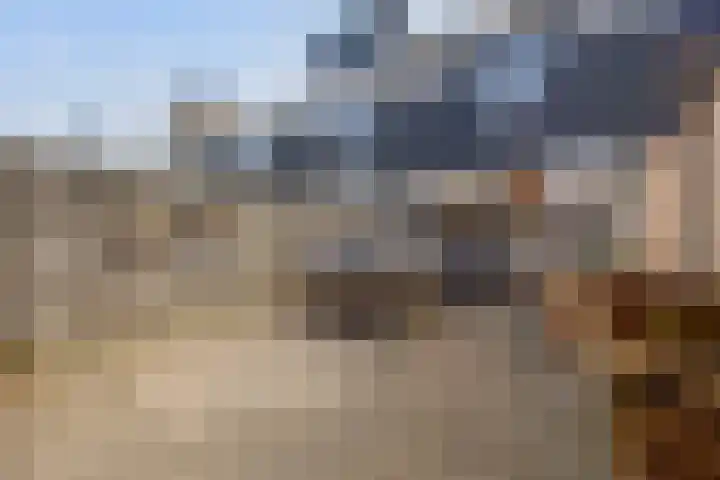 Enk 101 Borne thumbnail 17