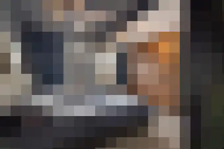 Enk 101 Borne thumbnail 24