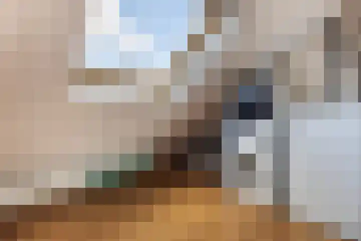 Enk 101 Borne thumbnail 33