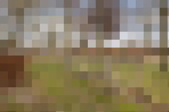 Enk 101 Borne thumbnail 40
