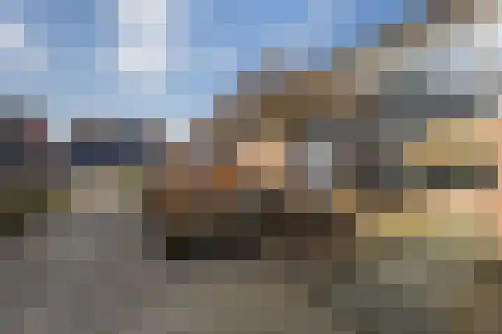 Enk 101 Borne thumbnail 5