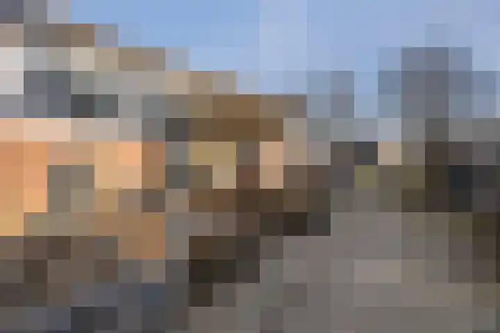 Enk 101 Borne thumbnail 6