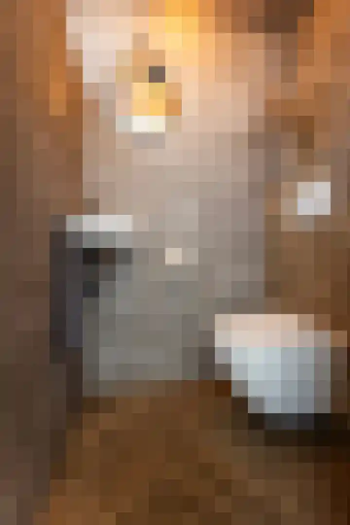 Enk 101 Borne thumbnail 8