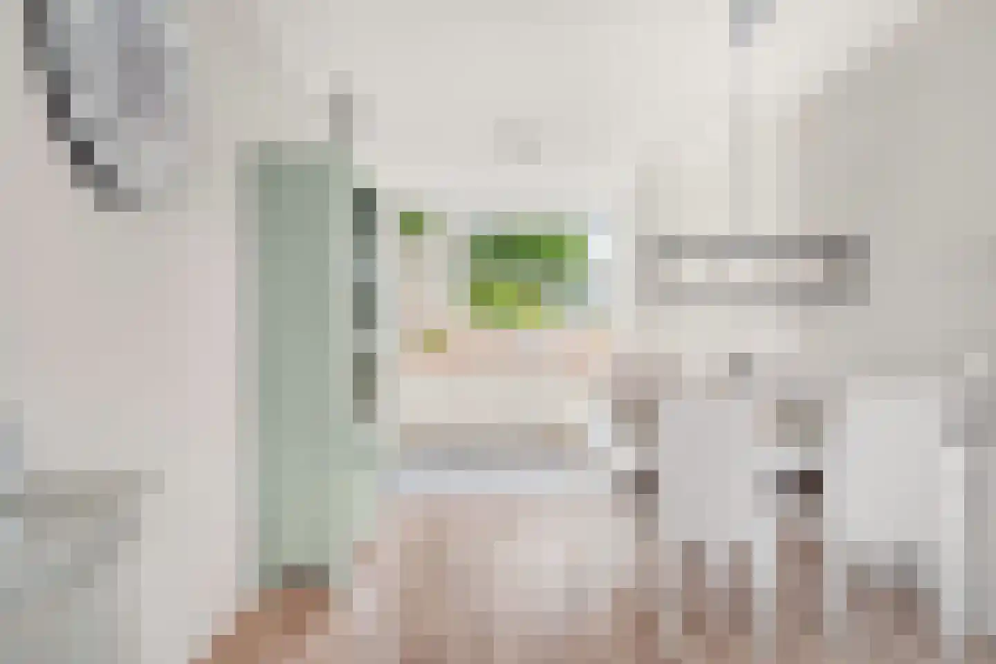 Enk 12 Pijnacker thumbnail 12