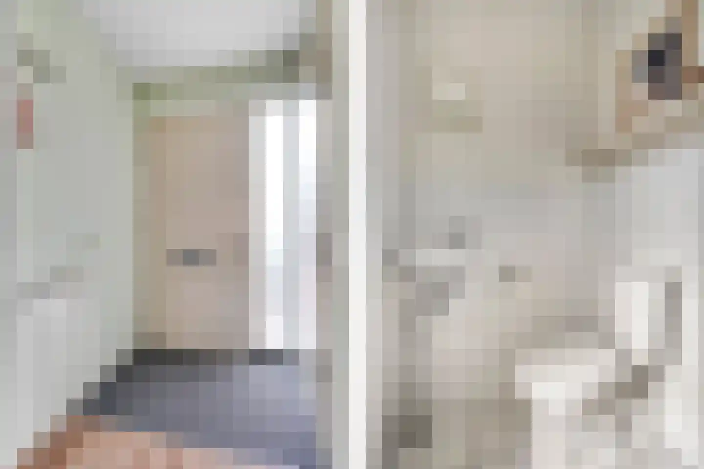 Enk 12 Pijnacker thumbnail 15
