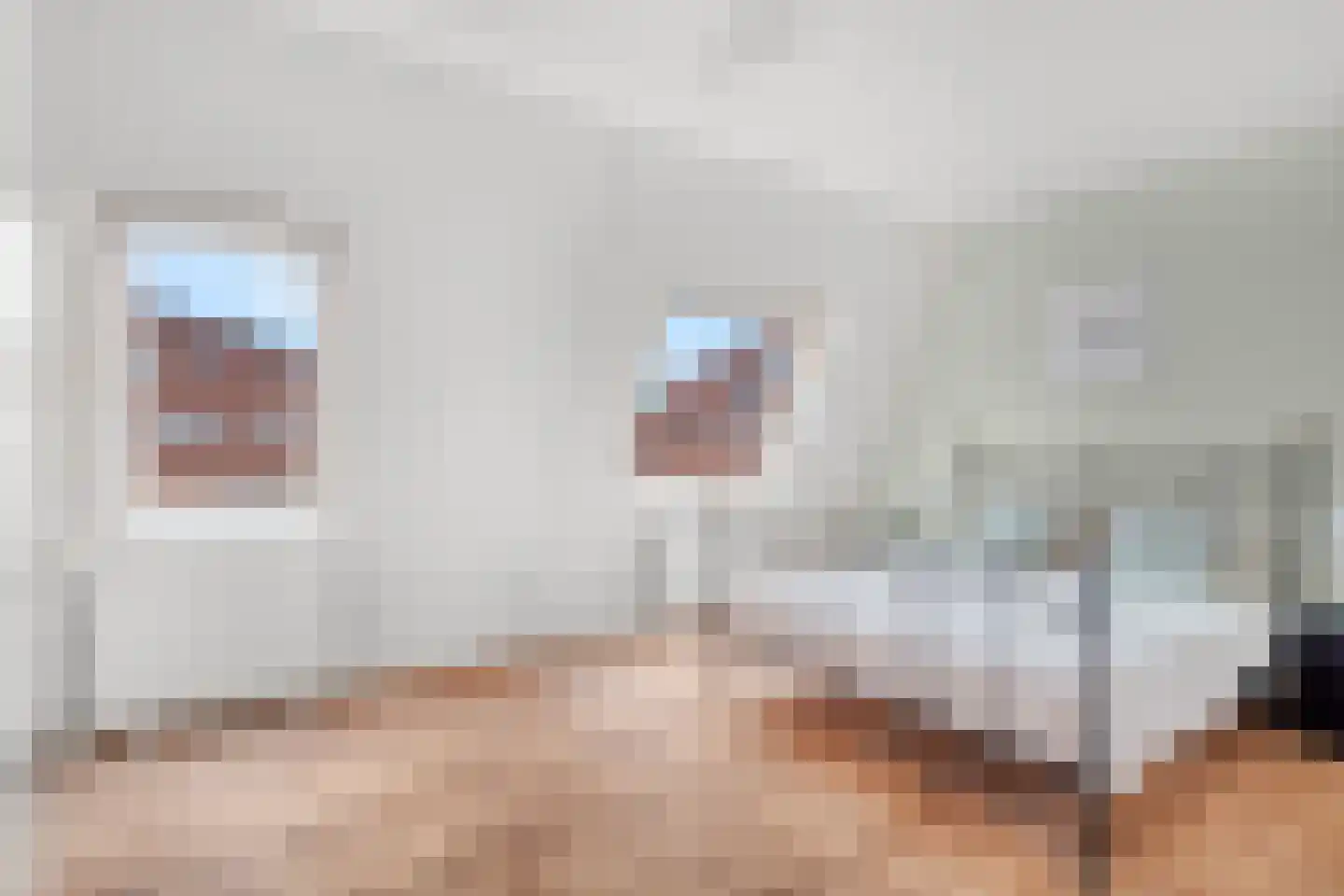 Enk 12 Pijnacker thumbnail 17