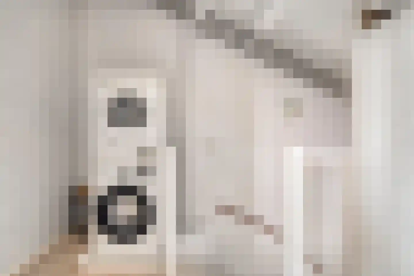 Enk 12 Pijnacker thumbnail 23