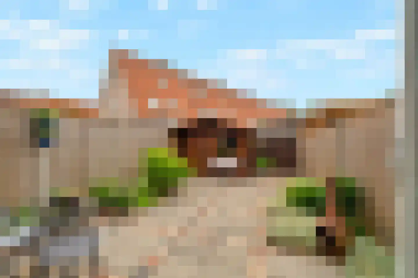 Enk 12 Pijnacker thumbnail 4