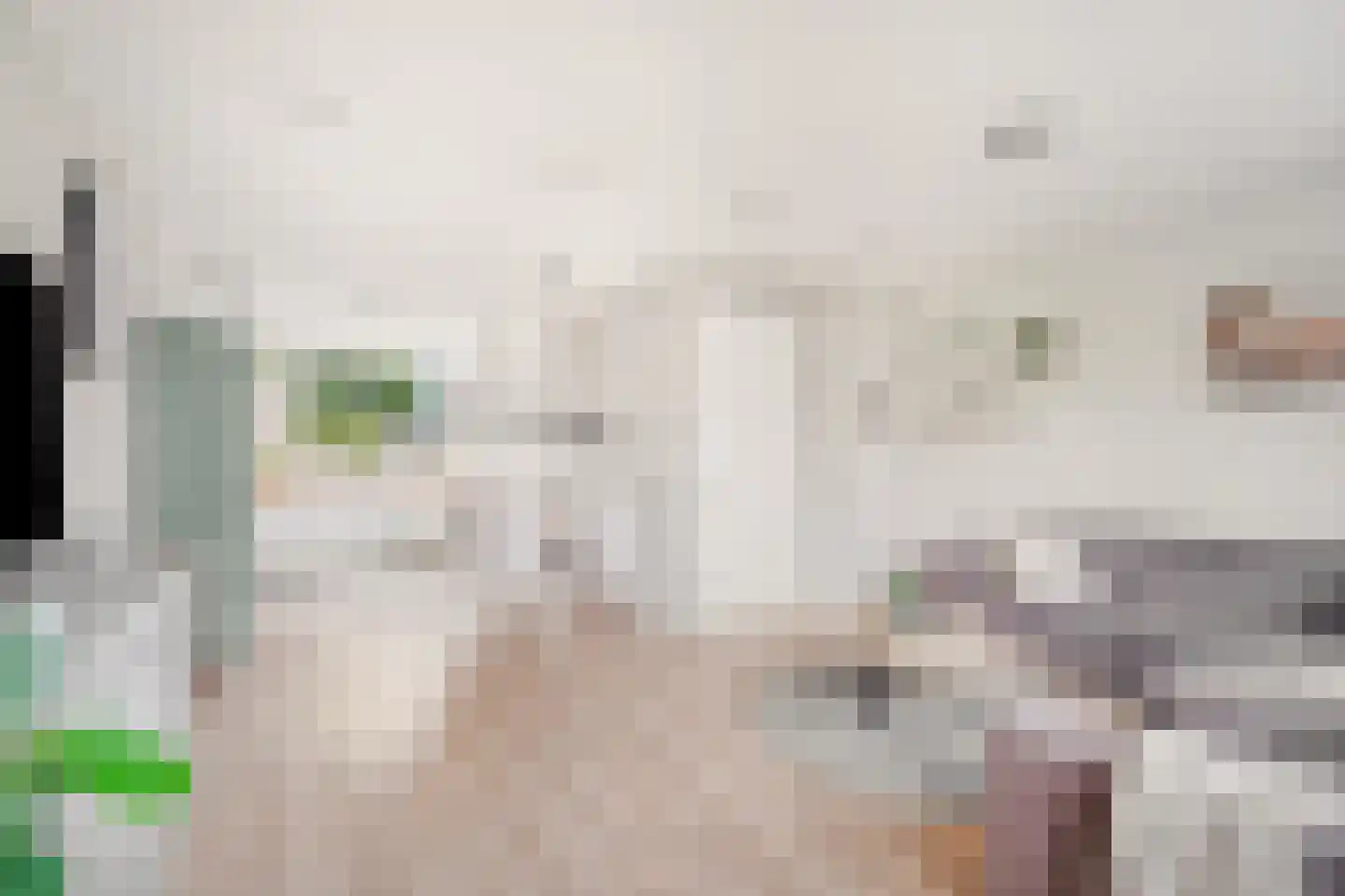 Enk 12 Pijnacker thumbnail 5