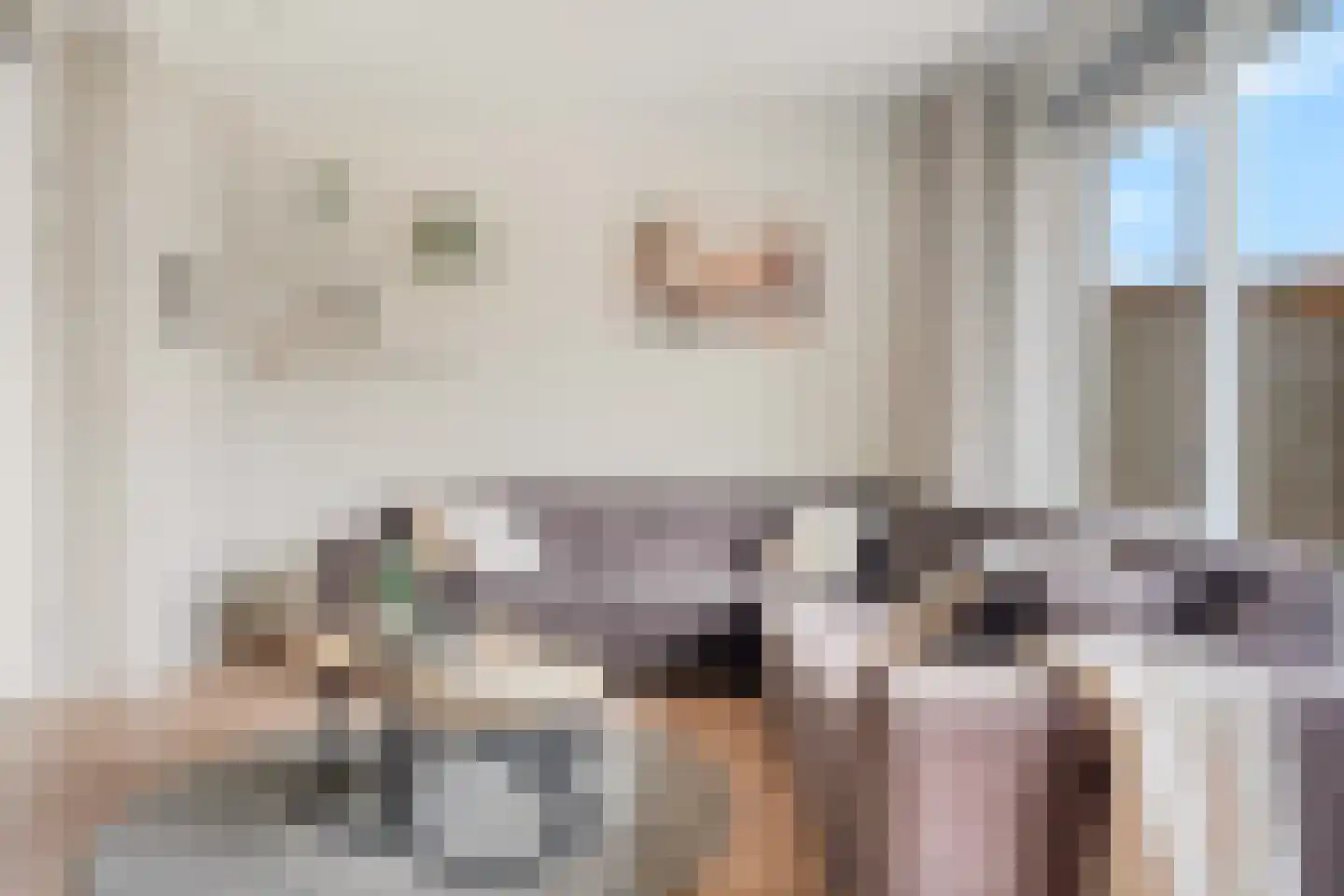 Enk 12 Pijnacker thumbnail 7