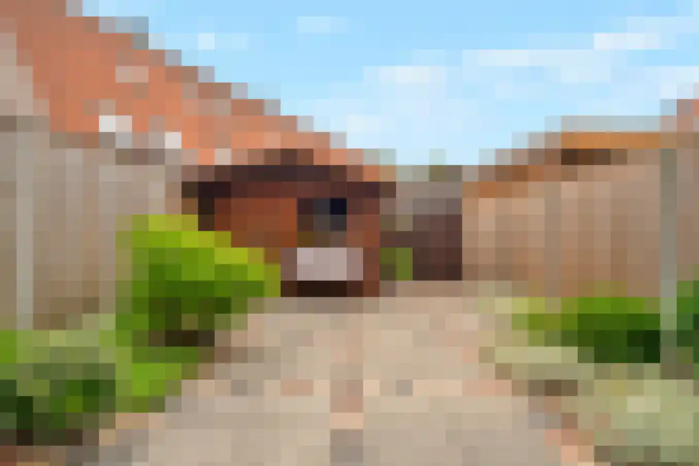 Enk 12 Pijnacker thumbnail 9
