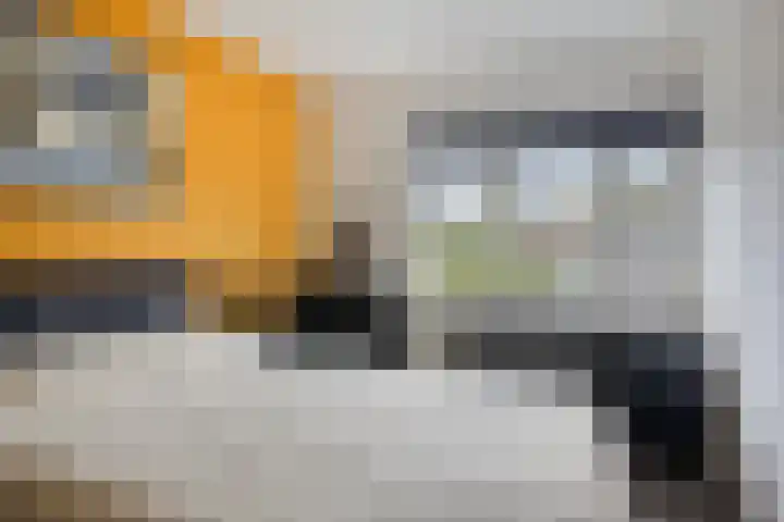 Enk 139 Borne thumbnail 19