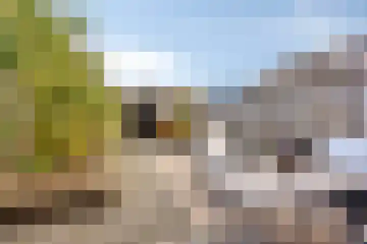 Enk 139 Borne thumbnail 36