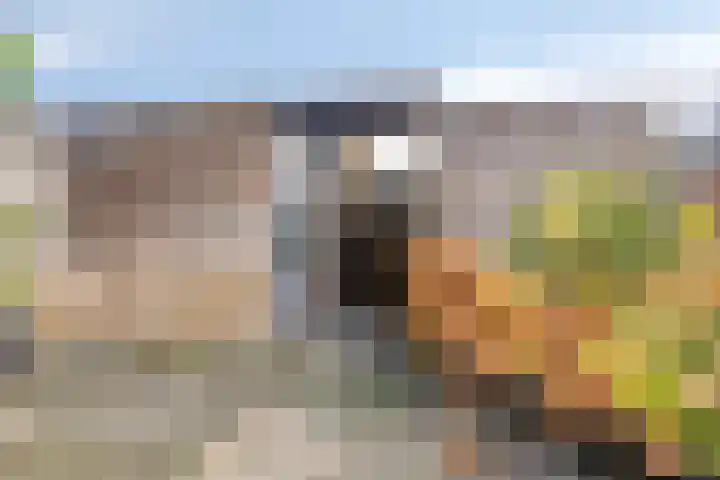 Enk 139 Borne thumbnail 38