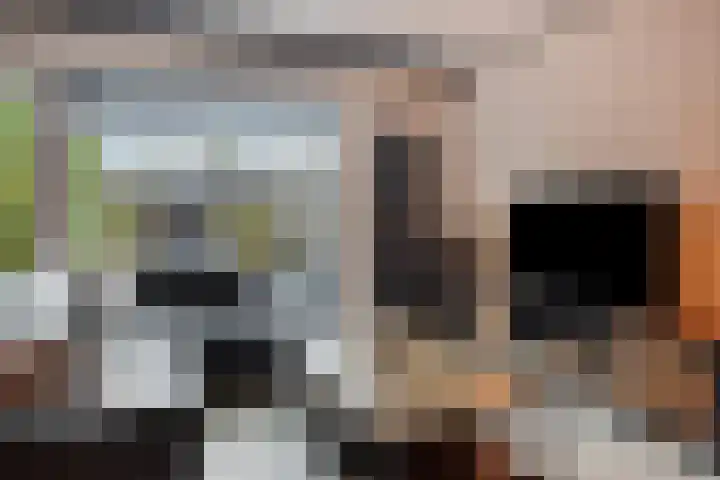 Enk 139 Borne thumbnail 5