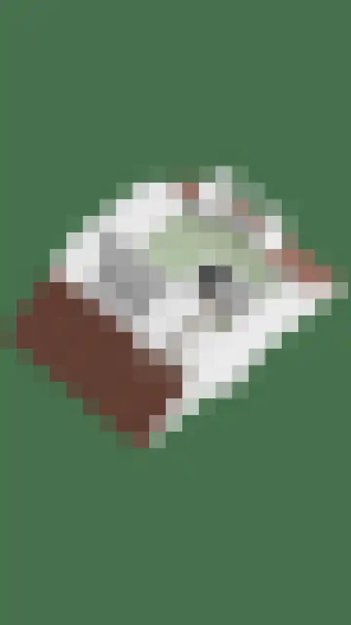 Enk 139 Borne thumbnail 51