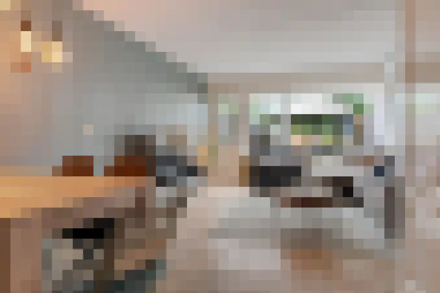 Enk 21 Borne thumbnail 8