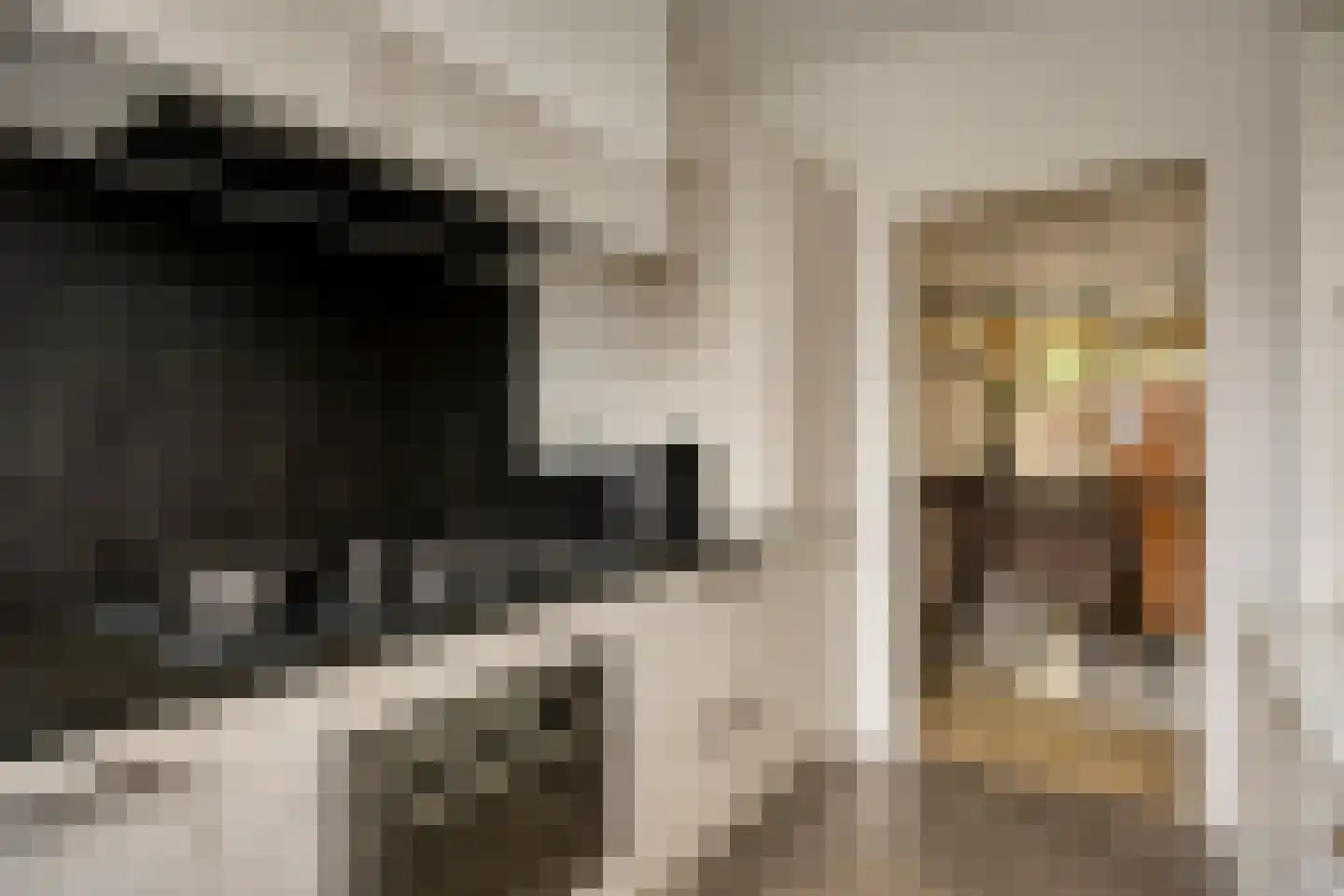 Enk 24 Borne thumbnail 14