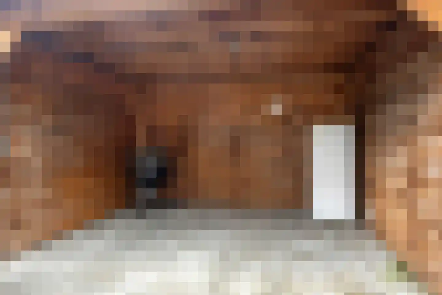Enk 24 Borne thumbnail 32