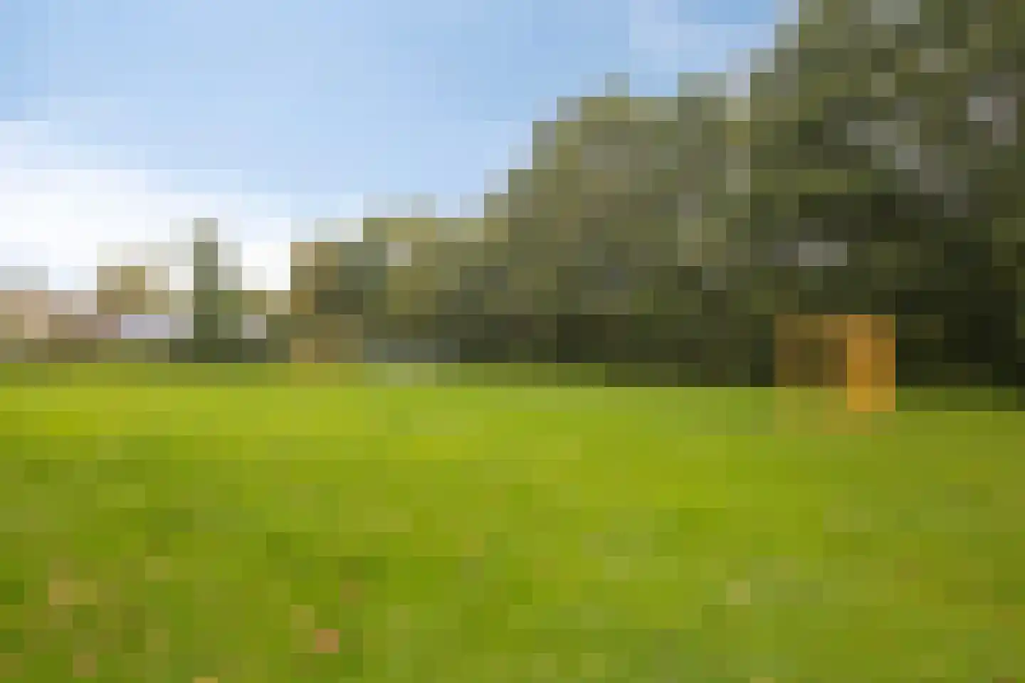 Enk 24 Borne thumbnail 39