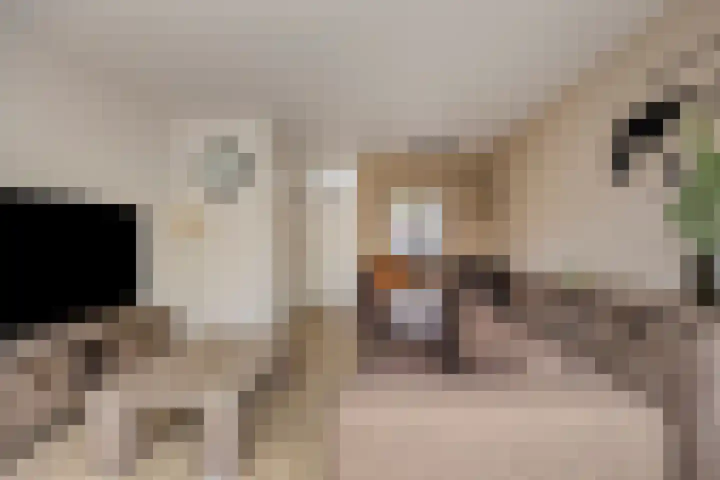 Enk 24 Borne thumbnail 8