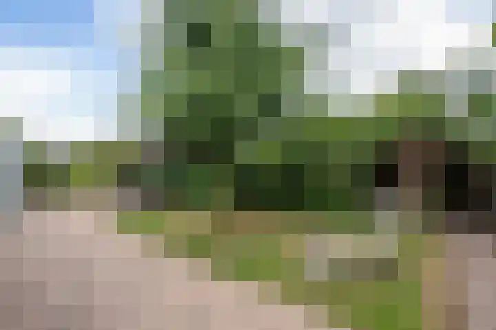 Enk 3 Vuren thumbnail 26