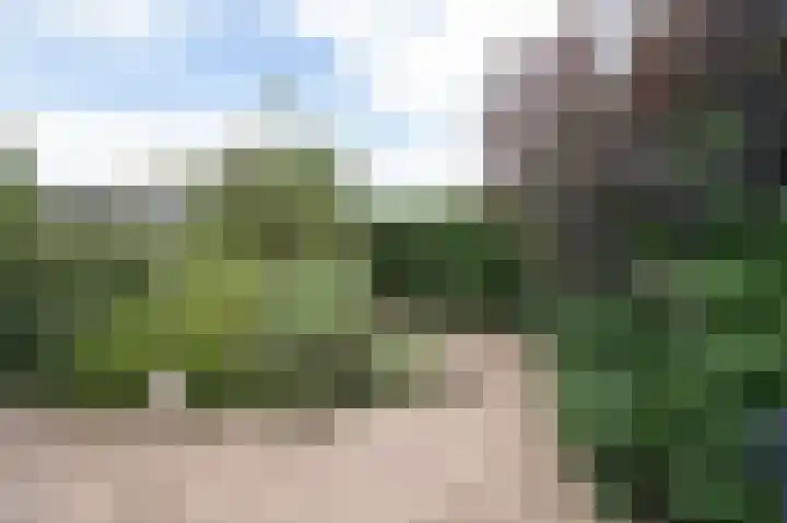 Enk 3 Vuren thumbnail 27