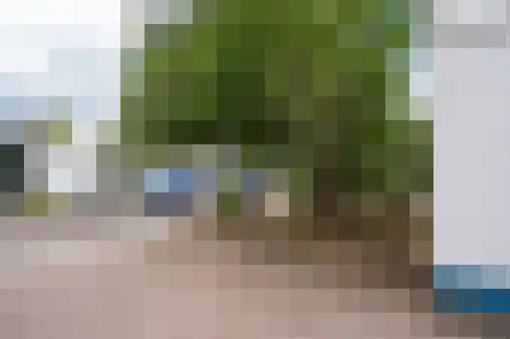 Enk 3 Vuren thumbnail 30