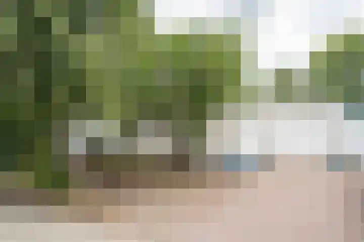 Enk 3 Vuren thumbnail 4