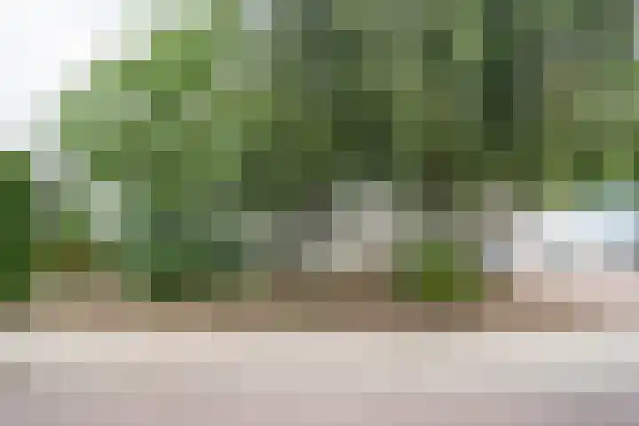 Enk 3 Vuren thumbnail 5