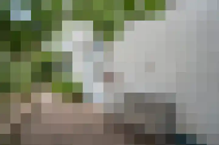Enk 3 Vuren thumbnail 6