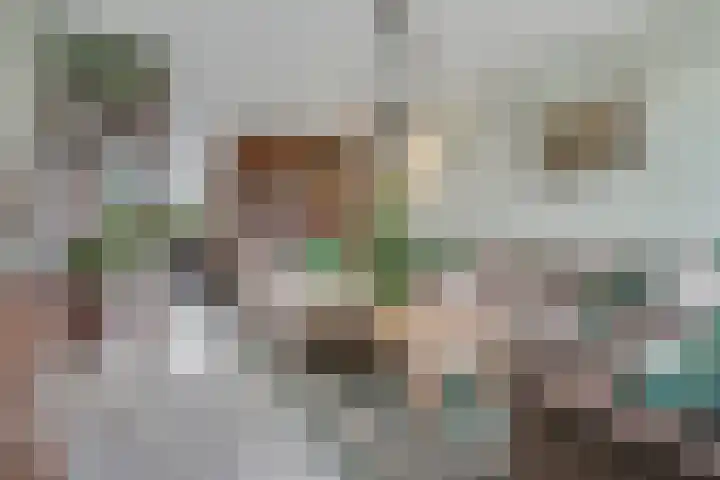 Enk 62 Borne foto 2