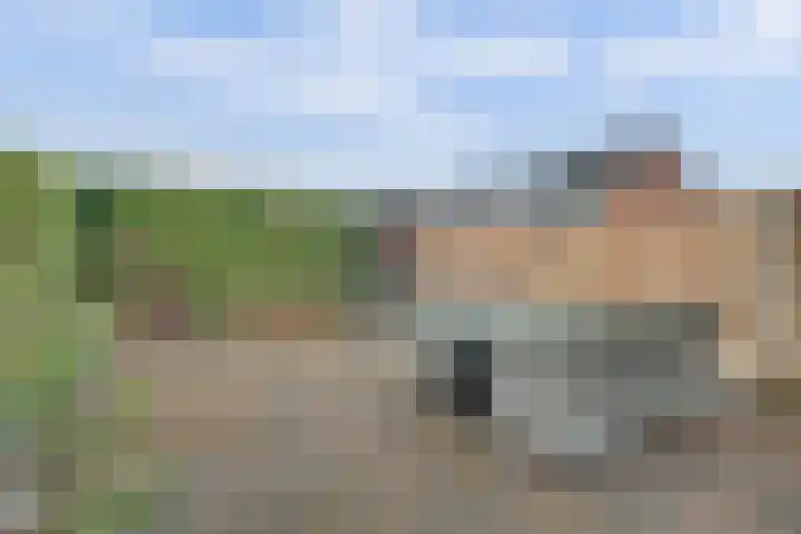 Enk 62 Borne thumbnail 34