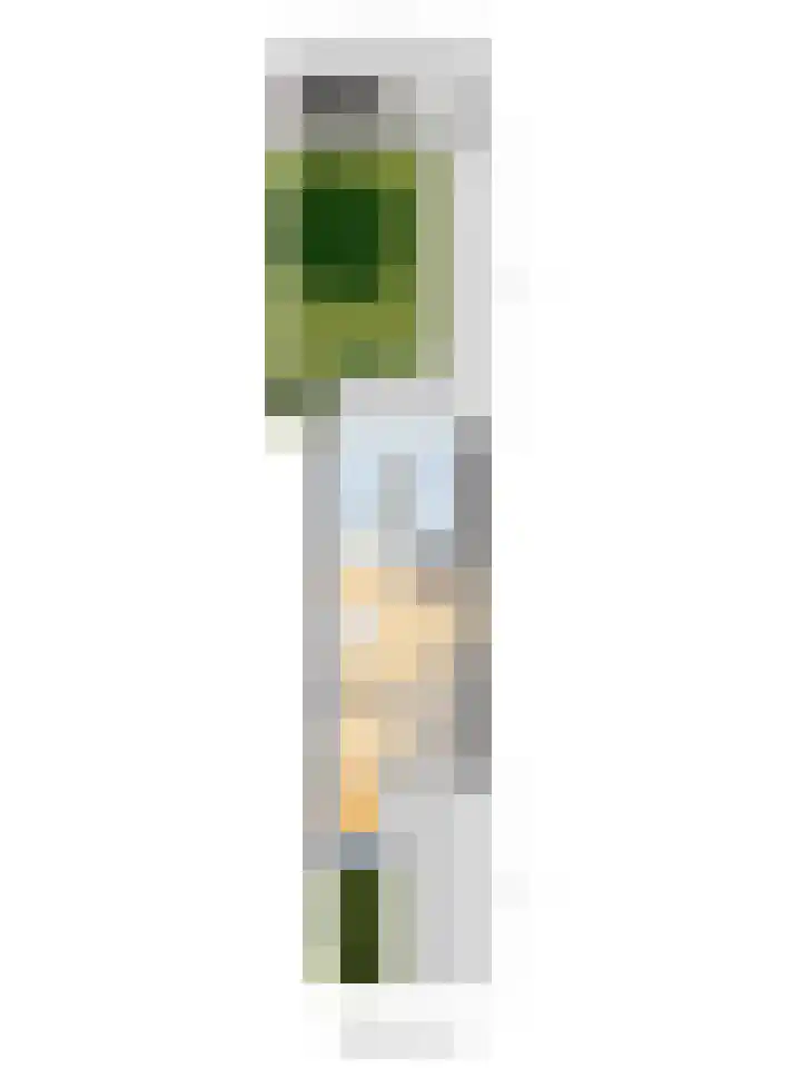 Enk 62 Borne thumbnail 39