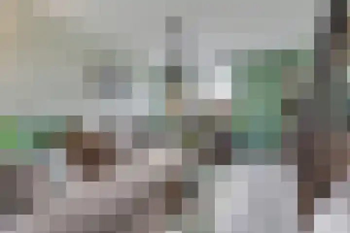 Enk 62 Borne thumbnail 6