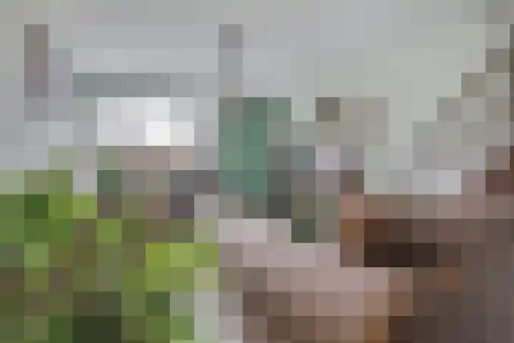 Enk 62 Borne thumbnail 7
