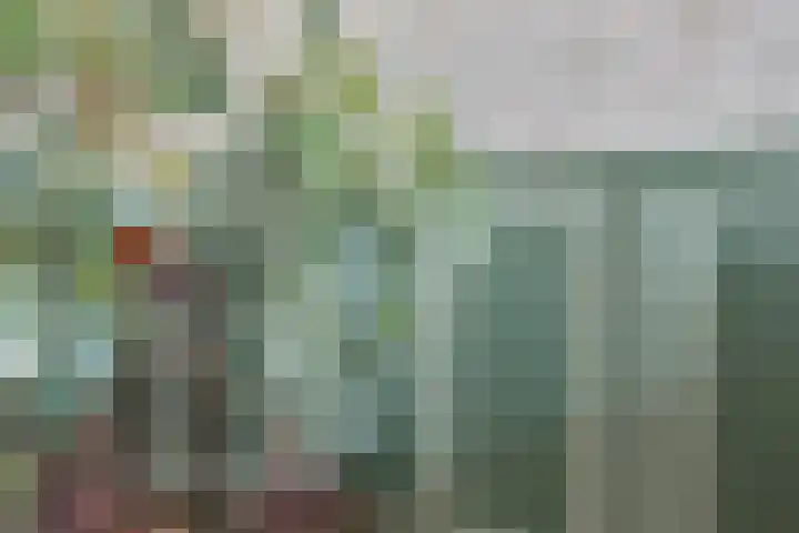 Enk 62 Borne thumbnail 9