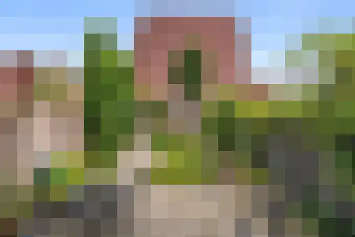 Enkalaan 1 Ede thumbnail 13