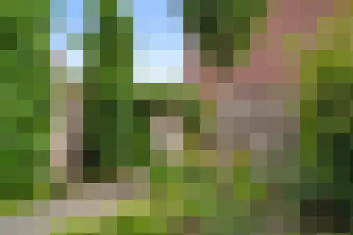Enkalaan 1 Ede thumbnail 15