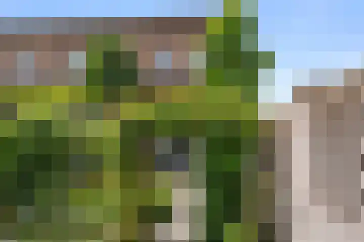 Enkalaan 1 Ede thumbnail 16