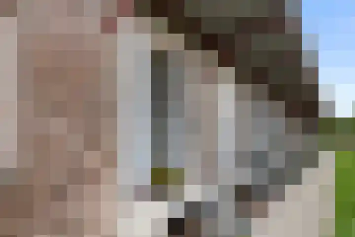 Enkalaan 1 Ede foto 3