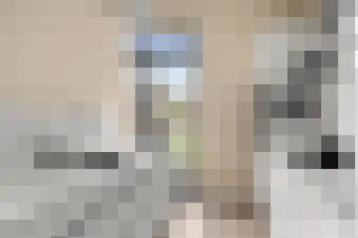 Enkalaan 1 Ede thumbnail 31