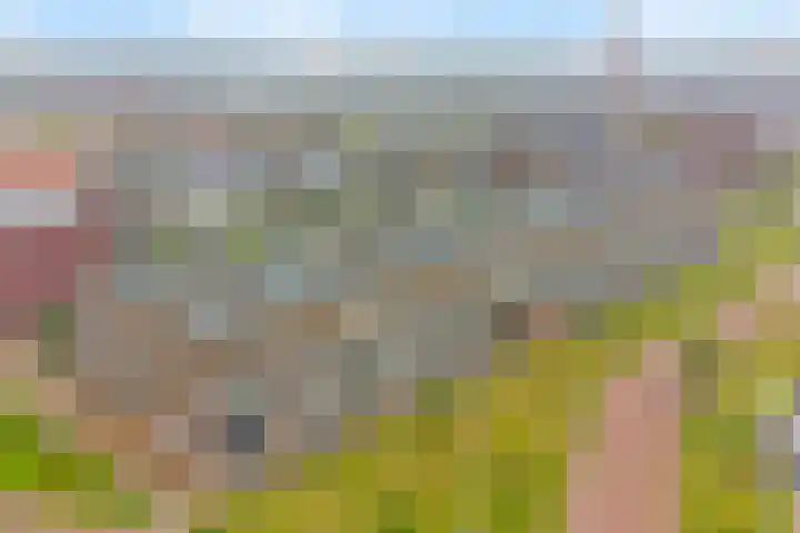 Enkalaan 1 Ede thumbnail 4