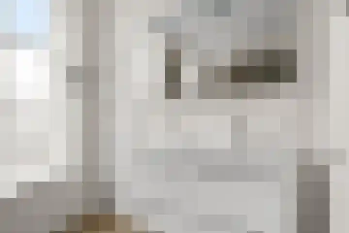 Enkalaan 1 Ede thumbnail 42