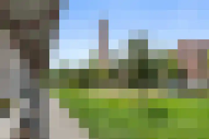 Enkalaan 1 Ede thumbnail 7